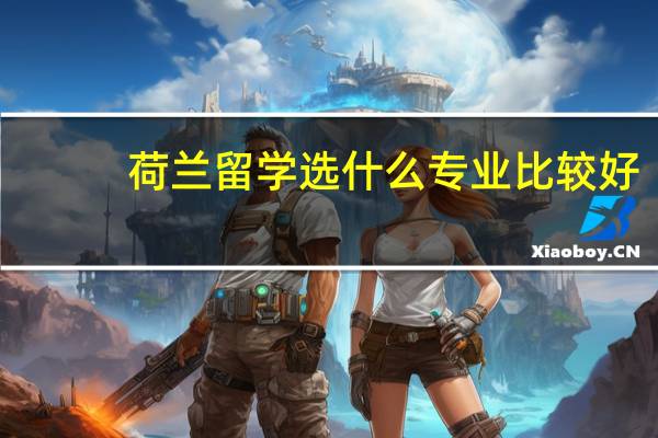 荷兰留学选什么专业比较好