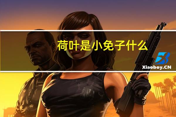 荷叶是小免子什么