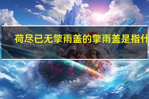 荷尽已无擎雨盖的擎雨盖是指什么