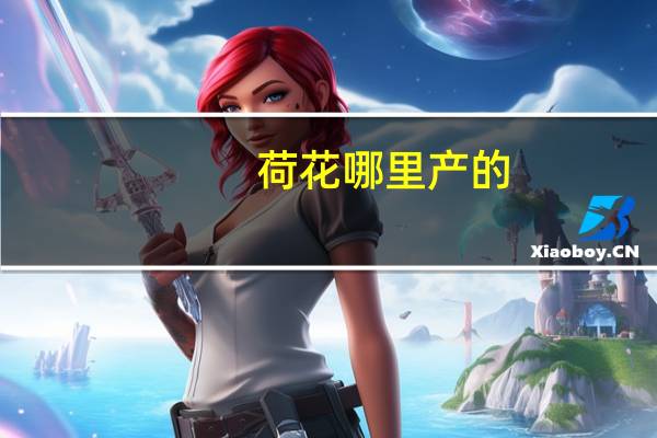 荷花哪里产的
