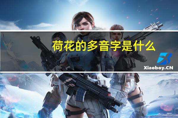 荷花的多音字是什么