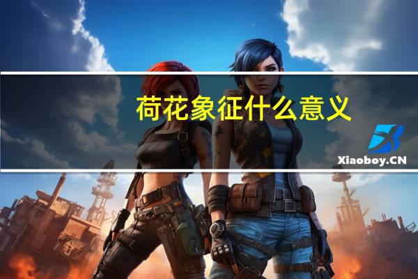 荷花象征什么意义