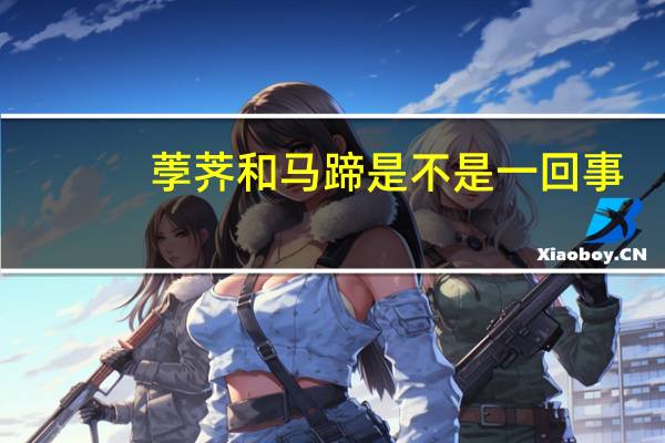 荸荠和马蹄是不是一回事