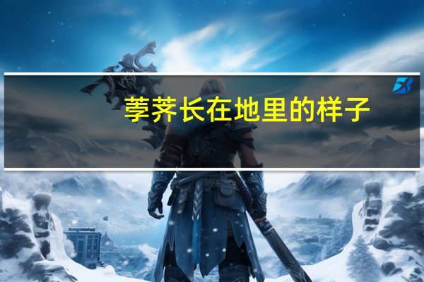 荸荠长在地里的样子