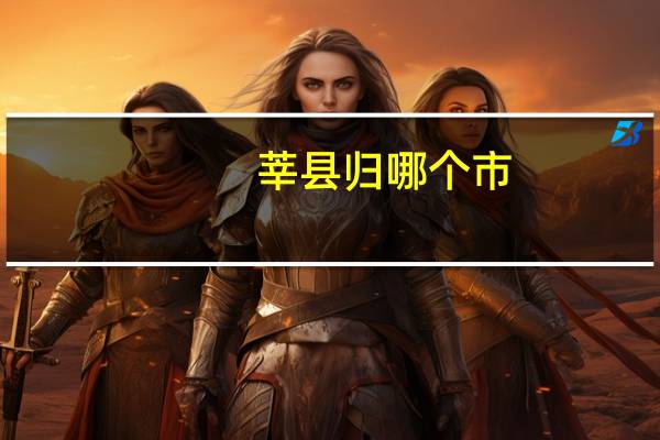 莘县归哪个市