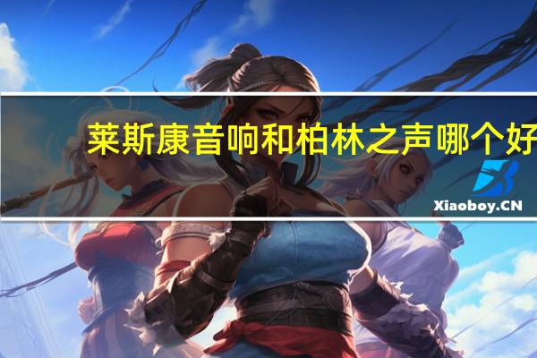 莱斯康音响和柏林之声哪个好