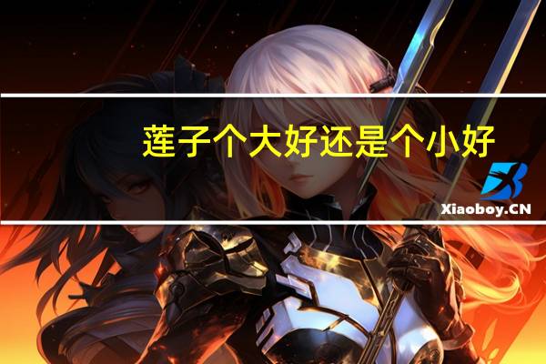 莲子个大好还是个小好