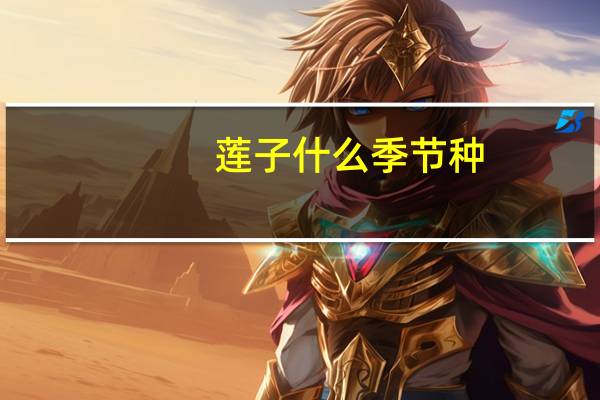 莲子什么季节种