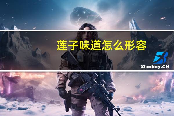 莲子味道怎么形容