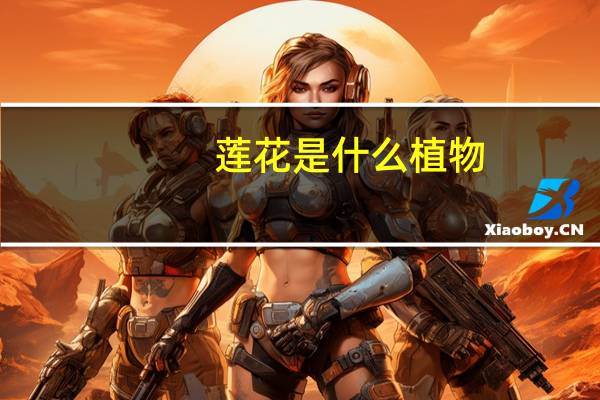 莲花是什么植物