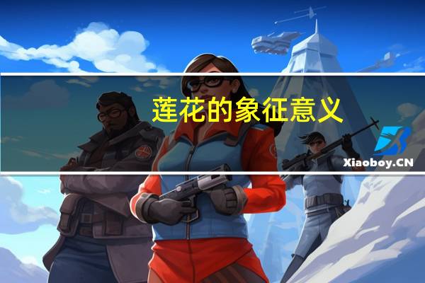 莲花的象征意义