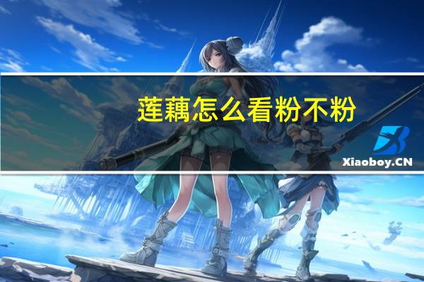 莲藕怎么看粉不粉