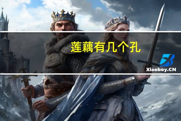 莲藕有几个孔