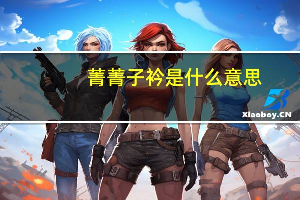 菁菁子衿是什么意思