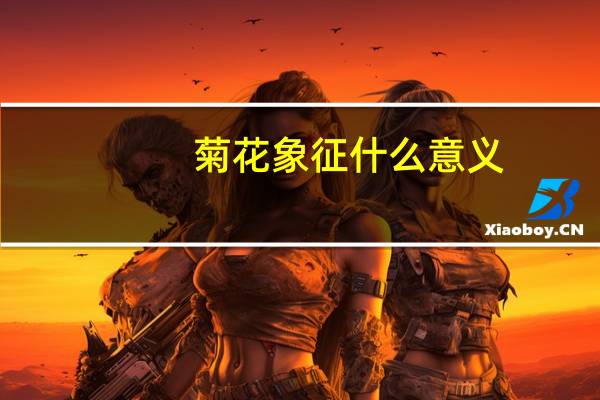 菊花象征什么意义