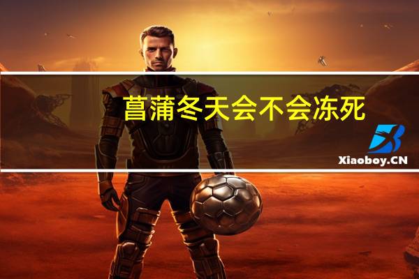 菖蒲冬天会不会冻死