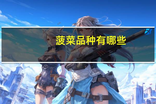菠菜品种有哪些