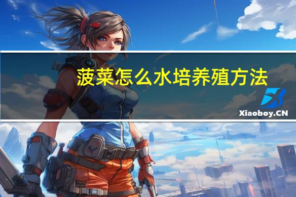 菠菜怎么水培养殖方法