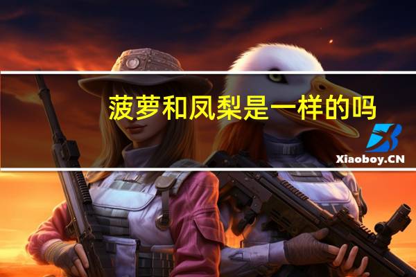 菠萝和凤梨是一样的吗