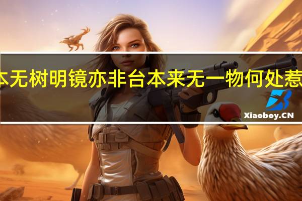 菩提本无树明镜亦非台本来无一物何处惹尘埃的意思