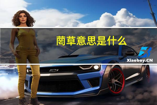菵草意思是什么