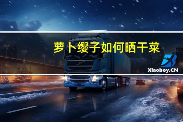 萝卜缨子如何晒干菜