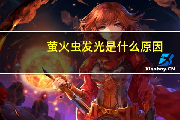萤火虫发光是什么原因