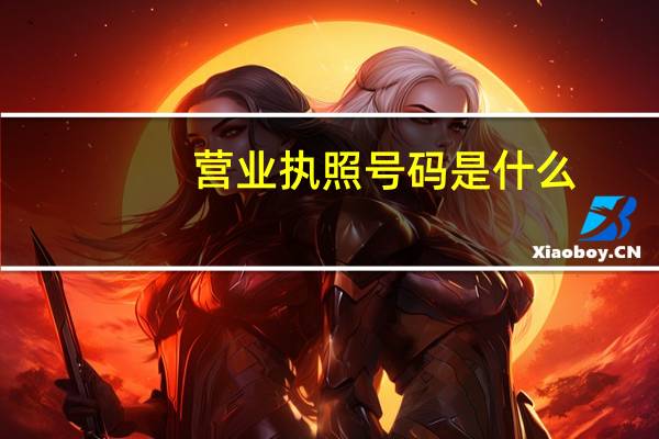 营业执照号码是什么