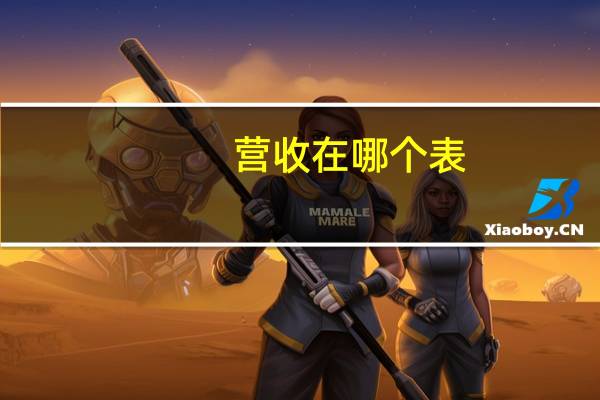 营收在哪个表