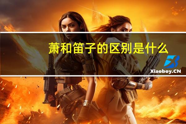 萧和笛子的区别是什么