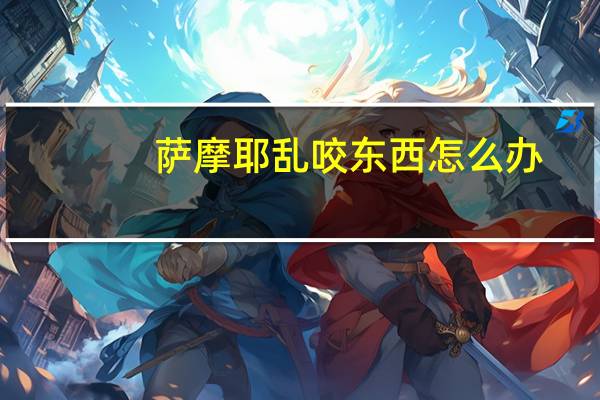 萨摩耶乱咬东西怎么办