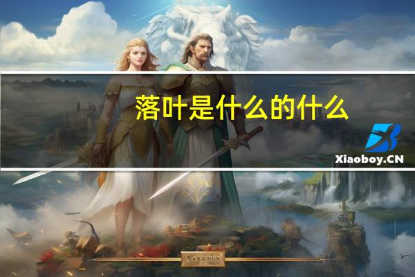 落叶是什么的什么