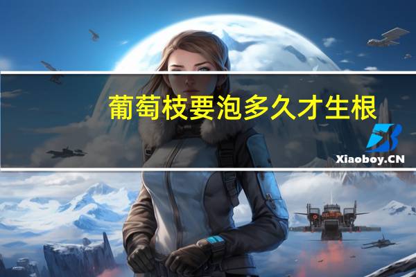 葡萄枝要泡多久才生根