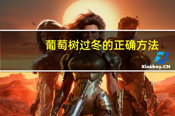 葡萄树过冬的正确方法