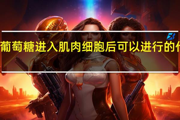 葡萄糖进入肌肉细胞后可以进行的代谢是