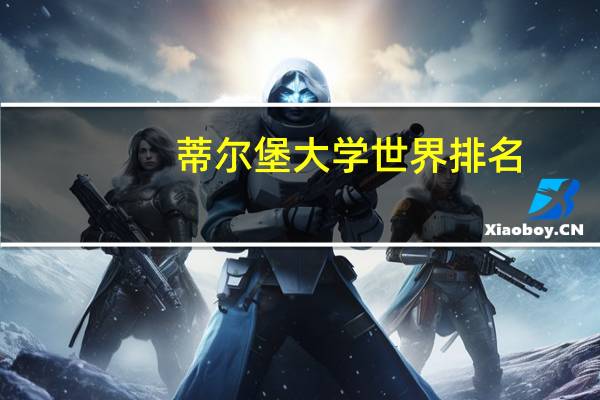 蒂尔堡大学世界排名