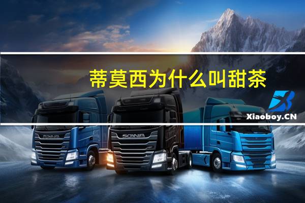 蒂莫西为什么叫甜茶