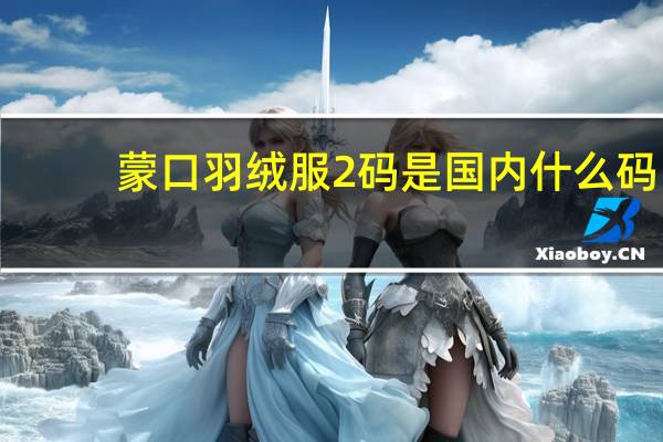 蒙口羽绒服2码是国内什么码