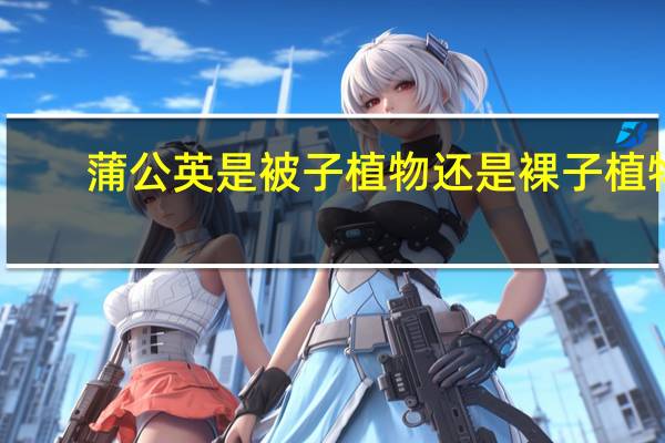 蒲公英是被子植物还是裸子植物