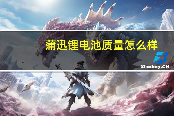 蒲迅锂电池质量怎么样