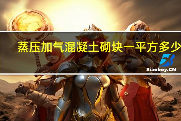 蒸压加气混凝土砌块一平方多少块