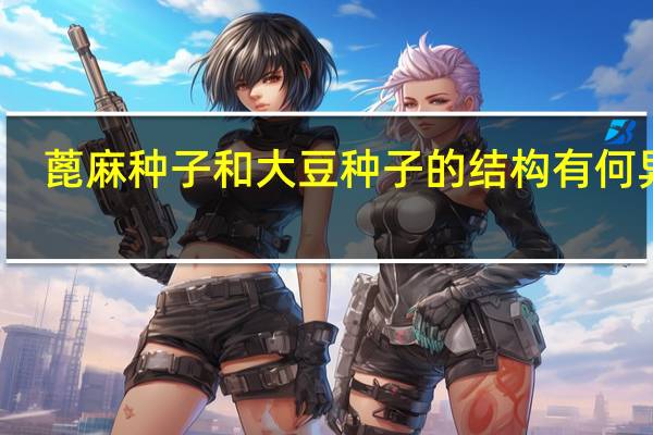 蓖麻种子和大豆种子的结构有何异同