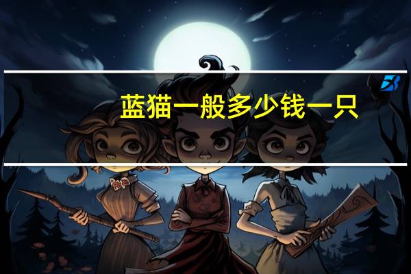 蓝猫一般多少钱一只
