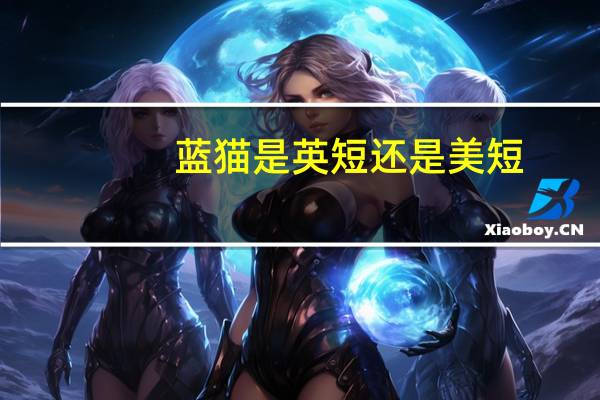 蓝猫是英短还是美短