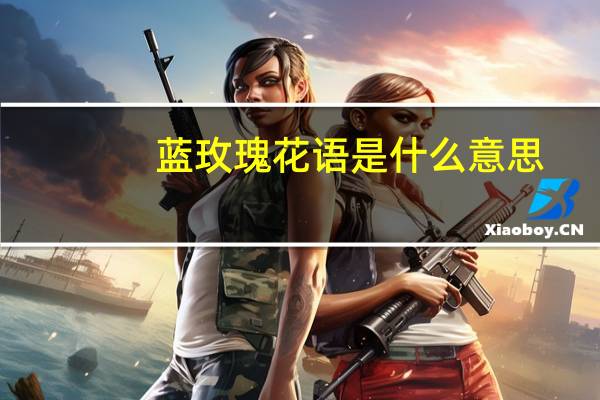 蓝玫瑰花语是什么意思