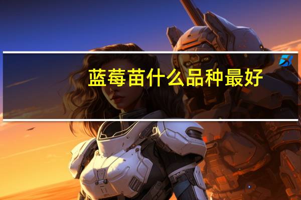 蓝莓苗什么品种最好