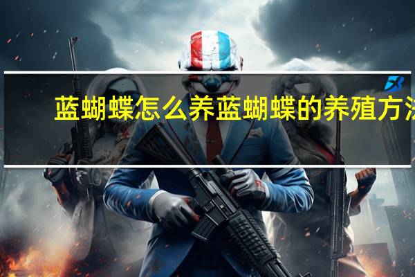 蓝蝴蝶怎么养蓝蝴蝶的养殖方法