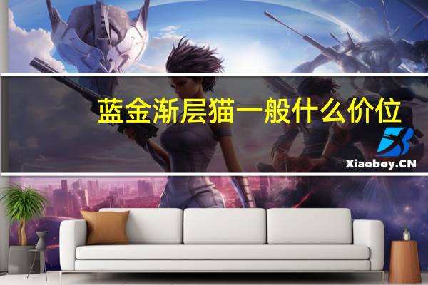 蓝金渐层猫一般什么价位