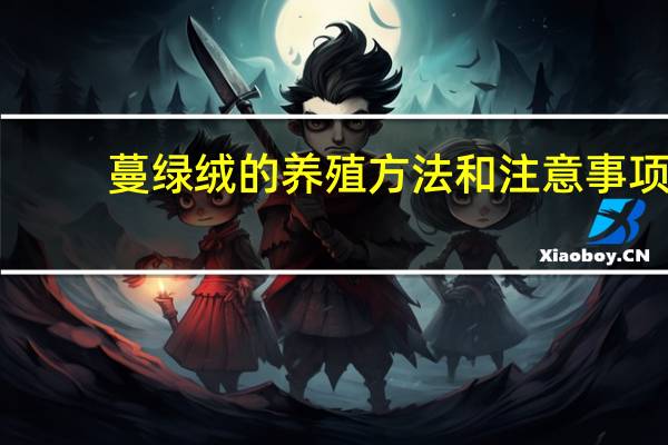 蔓绿绒的养殖方法和注意事项