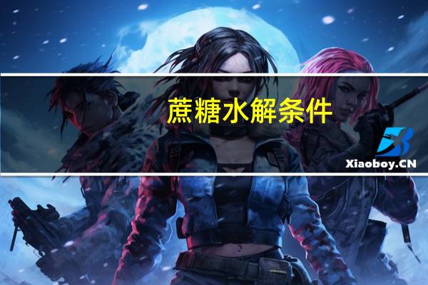 蔗糖水解条件